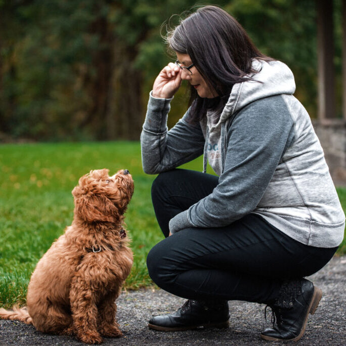 dog training