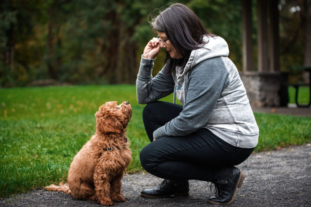 Benefits of Puppy Dog Boarding and Training